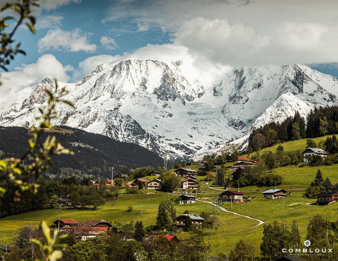 Chalet Alpen Valley, Mont-Blanc Combloux Eksteriør billede