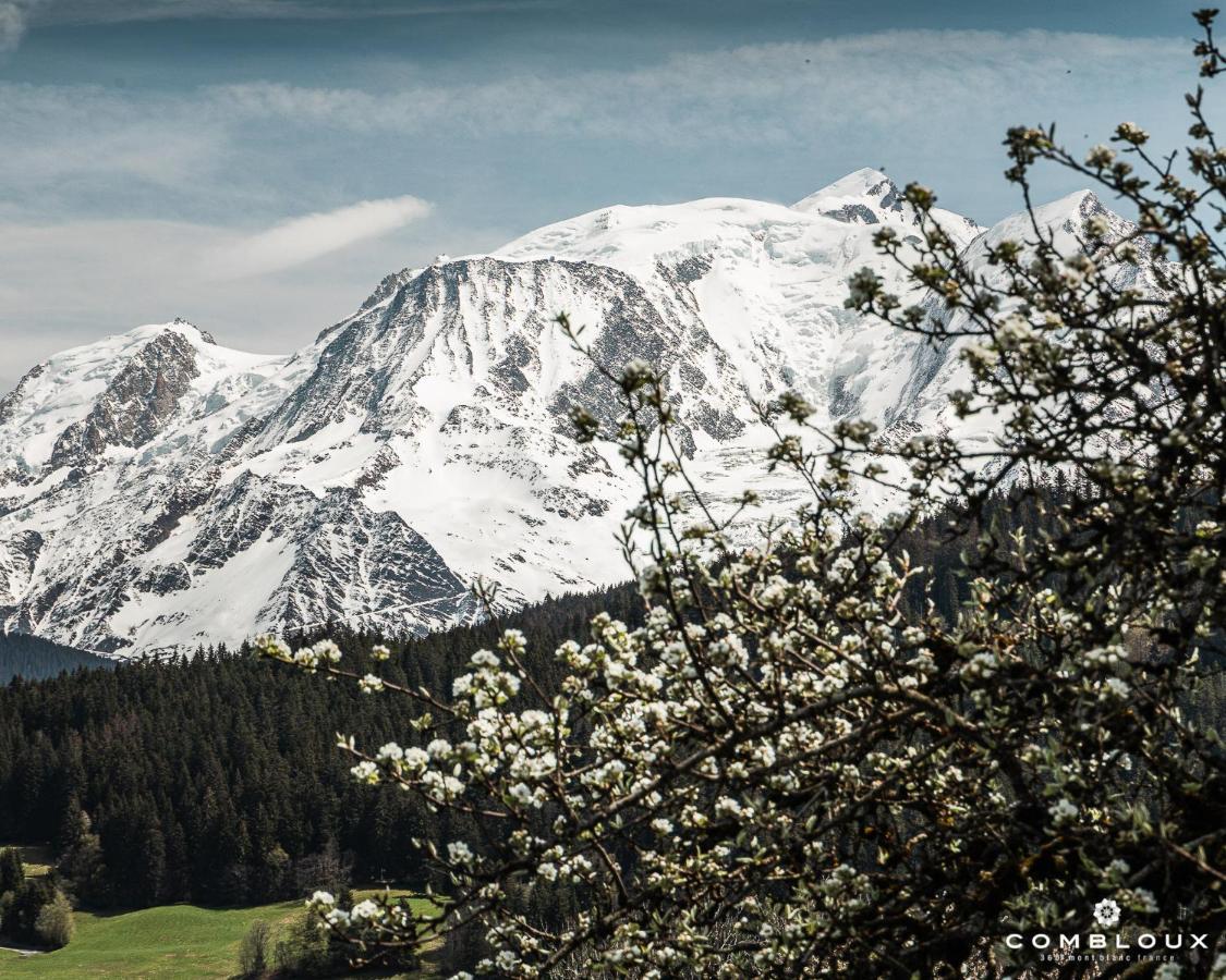 Chalet Alpen Valley, Mont-Blanc Combloux Eksteriør billede