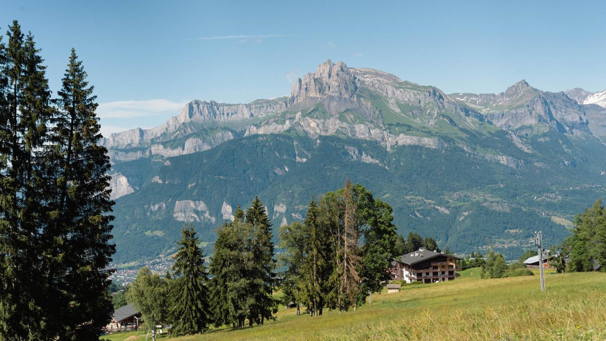 Chalet Alpen Valley, Mont-Blanc Combloux Eksteriør billede