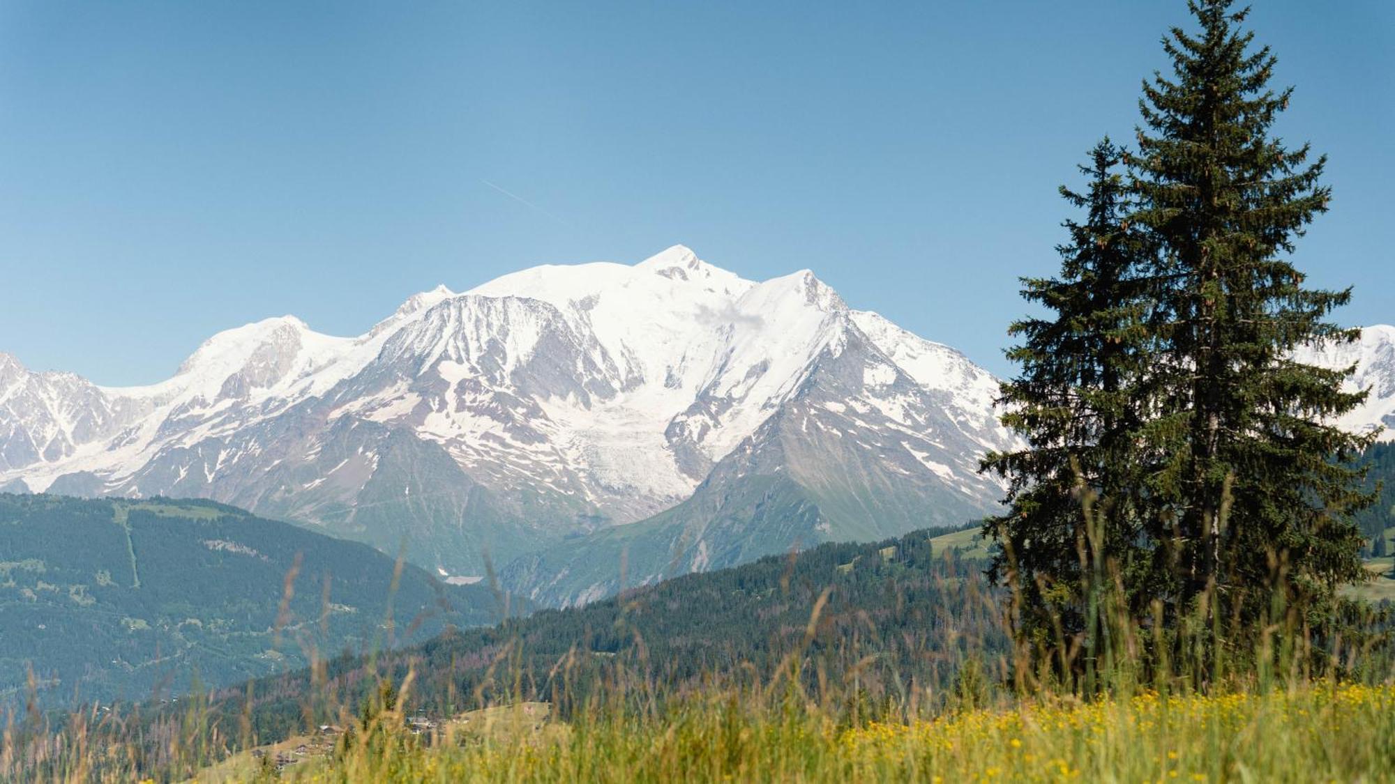 Chalet Alpen Valley, Mont-Blanc Combloux Eksteriør billede
